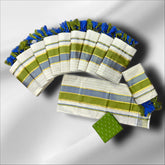 Tissue Half & Half DC Lines Setmundu With Blouse